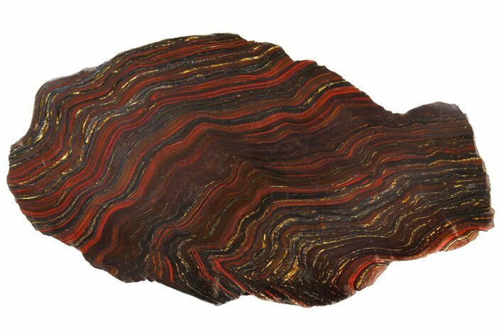 Polished Tiger Iron Stromatolite - Billion Years #129319